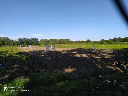 Imagen 3 de 6 de Campo - Escobar