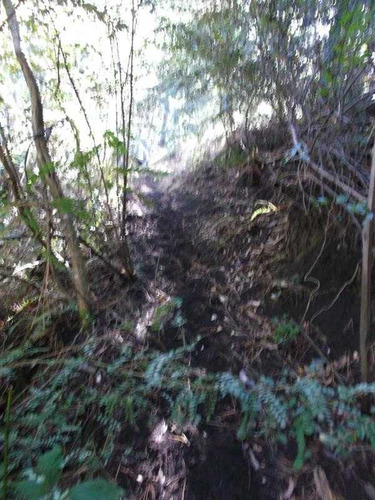 Imagen 3 de 20 de A 9 Km Del Centro De Pucón