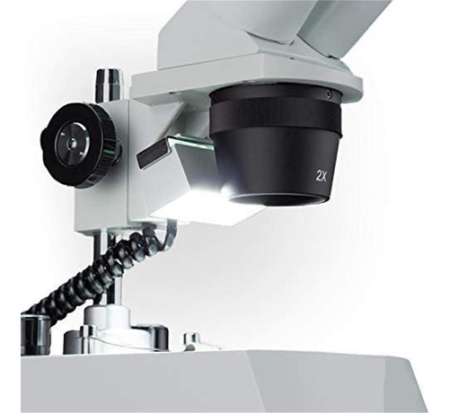 Microscopio Estéreo Binocular Frontal Xt