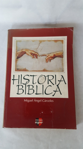 Libro Historia Bíblica Para Niños  Usado(8)