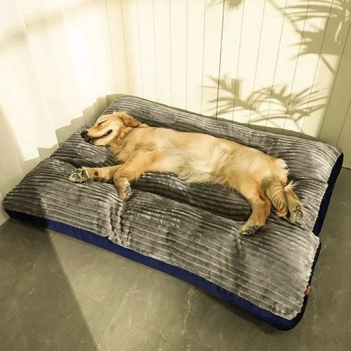 Cama Colchon Ortopedico Con Cierre Xxl Mascotas Perros 90cms