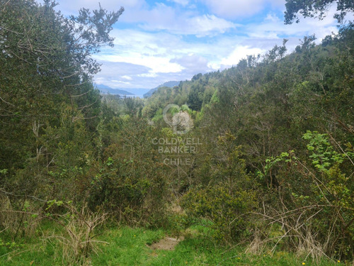 Oportunidad! Parcela Con Frutales, Vista Volcán Y Riachuelo