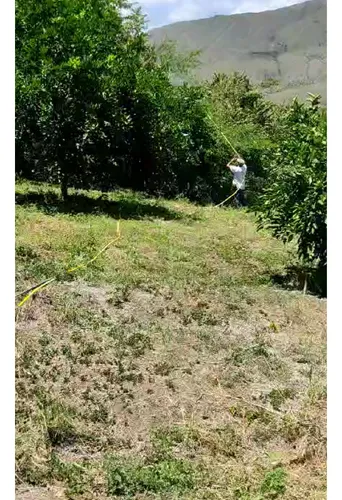Venta Finca De 4000mts2, En Dagua, Valle Del Cauca 12099.