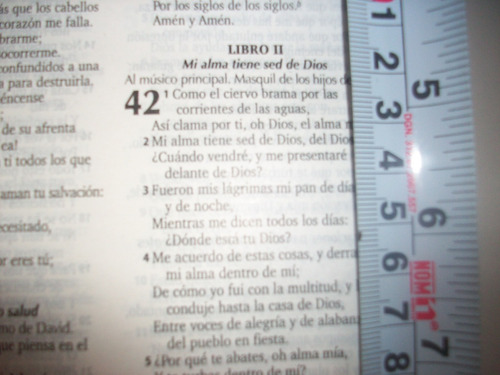 la biblia reina valera 1960 amen amen la biblia reina valera 1960 amen amen