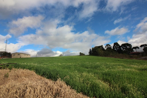 Imagem 8 de 13 de Terreno À Venda, 2500 M² Por R$ 960.000,00 - Centro - Campo Magro/pr - Te0364
