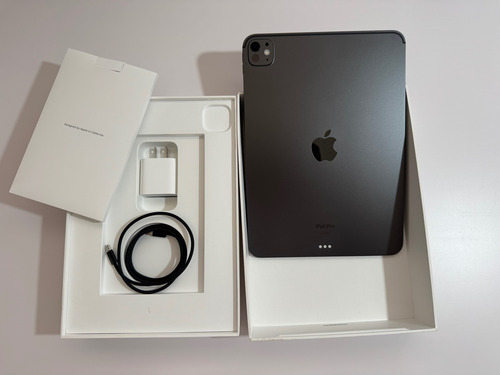 Apple Ipad Pro 11 M4 256gb Wifi Negro Estelar Negro (Usado)