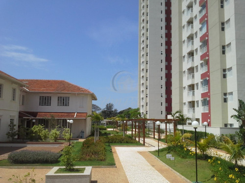 Imagem 24 de 30 de Apartamento À Venda Em Ponte Preta - Ap034590