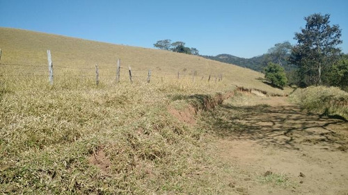 Imagem 10 de 12 de Sítio Para Venda Em Vargem, Lopo - 5422_2-318296