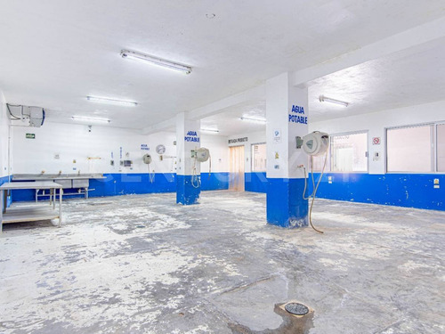Bodega/planta Para Proceso De Alimentos En La Paz, Bcs