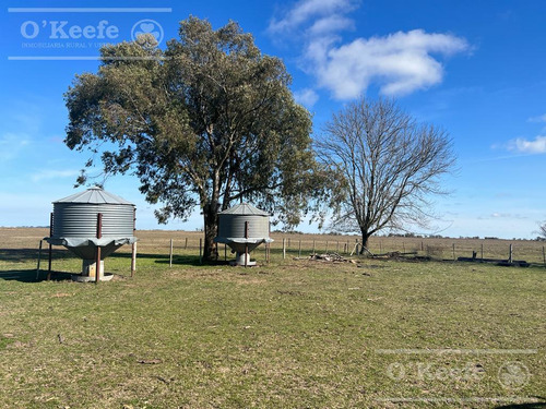 Campo En Venta 133 Has En Magdalena - Mixto.