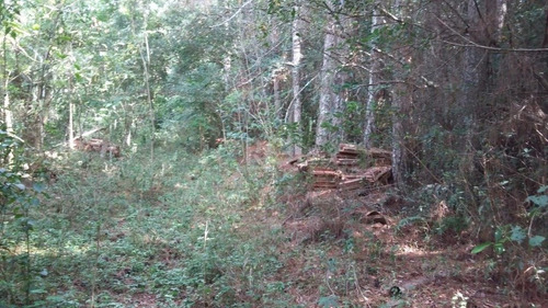 Area Em Ponta Grossa - Bt10982