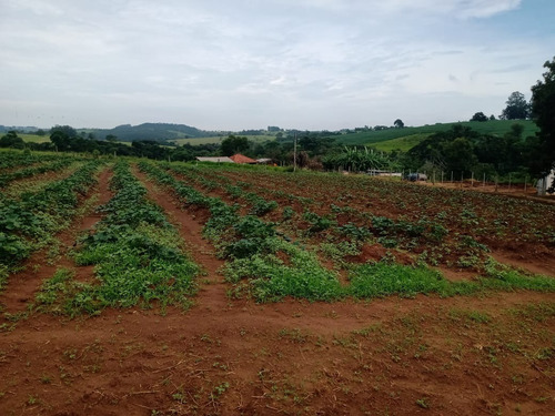 Sítio 5,5 Alqueires Rico Em Agua,localização Nobre,2 Casas Boas,4 Dorms Cada,4 Kms Do Asfalto,terra Fértil,vermelha,muitas Benfeitorias - St00053 - 69181042