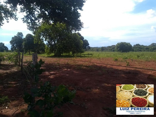 Fazenda À Venda Em Talismã - To - De 268 Alqueirões (dupla Aptodão) - 1580