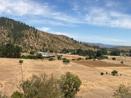 Terreno Colhue- Pumanque  