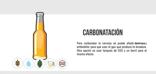 Botella CO2 2Kg + 2 Barriles de cerveza