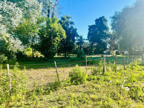 Venta Campo 7 Hectáreas El Cazador, Escobar