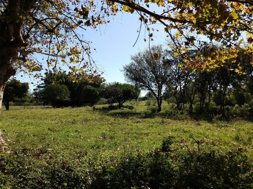 Chácara 20.000 M² - Costa Do Ipiranga - Gravataí - Rs - 1757 - 32430255