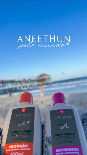 Aneethun Linha A Antidanos Creme De Silicone 100ml