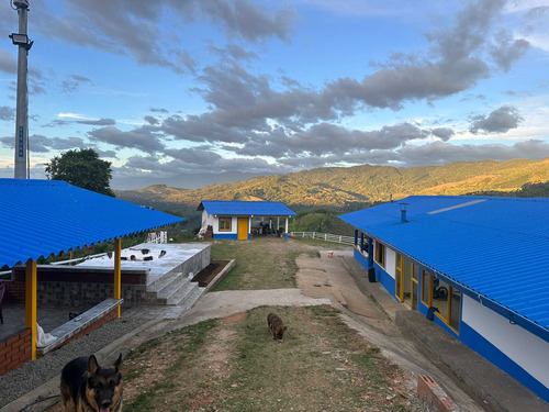 Se Vende Finca En Sevilla - Valle Del Cauca