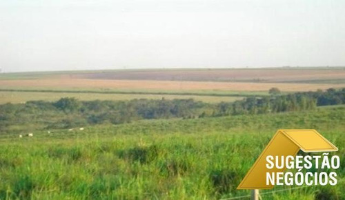 Imagem 6 de 15 de Fazenda No Asfalto Agricultura Ou Pecuaria - 3112