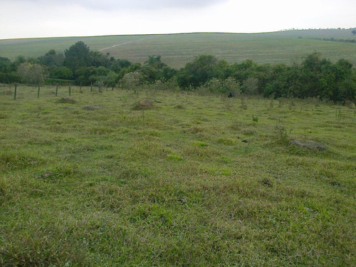 Imagem 2 de 8 de Chácara À Venda, 5000 M² Por R$ 375.000,00 - Ipiranga - Elias Fausto/sp - Ch0037
