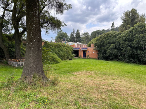 Terreno En Renta En La Magdalena