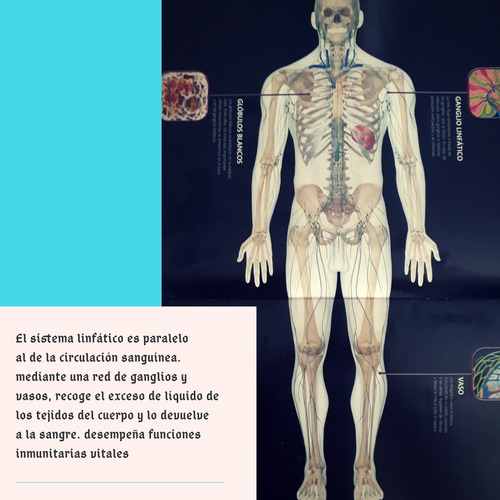 Imagen 3 de 10 de Masajes Descontracturantes, Relajantes Y Deportivos