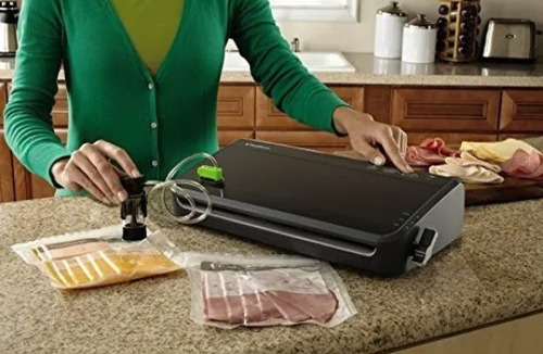 Empacadora Selladora Al Vacio Food Saver Fm2100