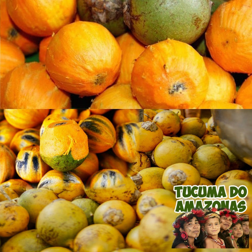 Tucumã 18 Unidades Amazonas (apenas Sedex) Leia Descrição...