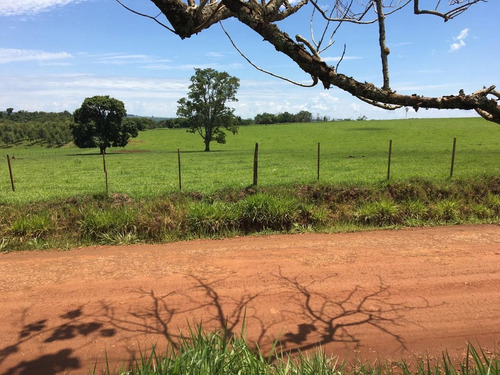 Imagen 19 de 21 de Lote En Venta 1219m2 En Puerto Rico - Loteo Clemens Blick