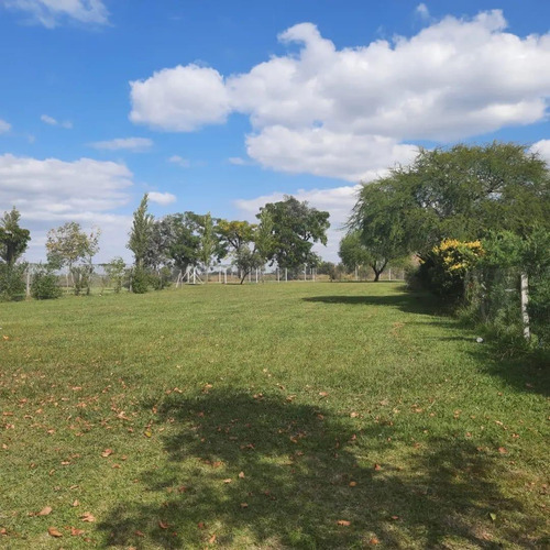 Imagen 6 de 8 de Lote En Venta, San Alfonso, Pilar