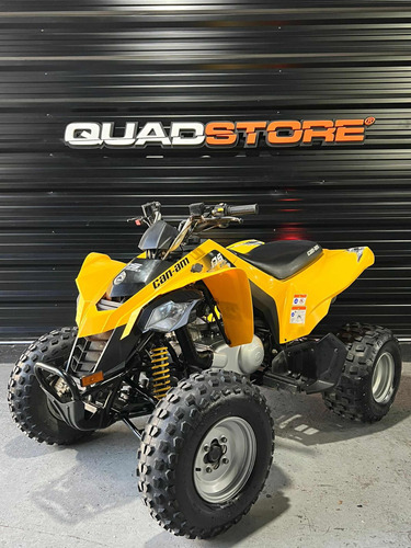 Can Am Ds 250