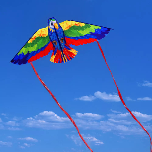 Ha Cometa Con Forma De Loro 3d Para Divertirse En La Playa