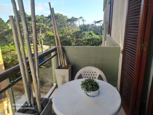 Imagen 12 de 17 de Alquiler Dos Amb En Pinamar C/s Cochera