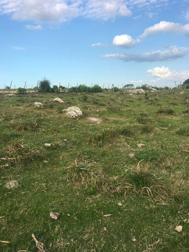 Campo Con Cerro En Ruta 60