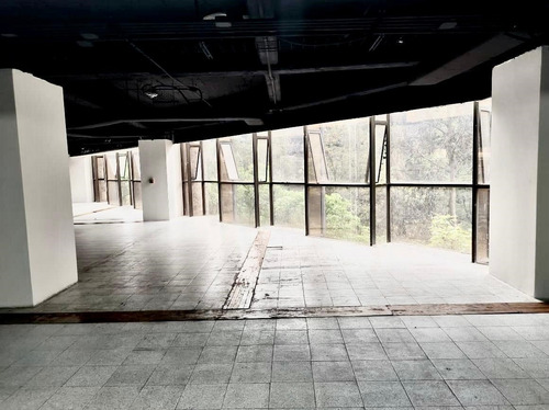 Polanco, 708m2, Amplios Espacios Abiertos, Muy Iluminada, Sala De Juntas, 3 Privados, 6 Estacionamientos, Vigilancia 24 Horas, 3 Elevadores. Excelente Ubicación. El Precio Es Más El Mantenimiento