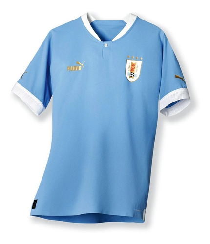 Imagen 1 de 3 de Camiseta Puma Uruguay Remera Celeste Selección Mvd Sport