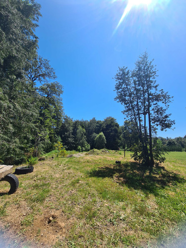 Parcela Sector Pancul (80144)