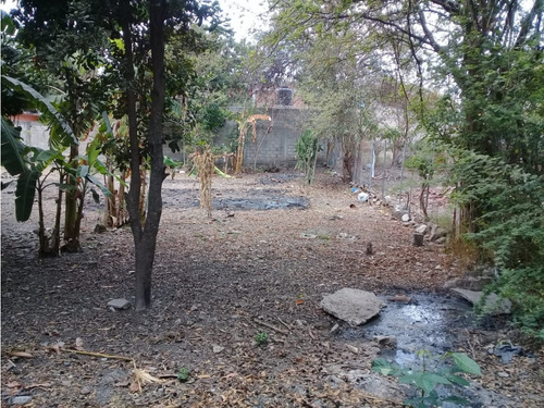 Extenso Terreno En San Jose Teran