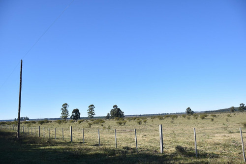 Imagen 21 de 22 de Campo Mixto En Venta Estación Yeruá