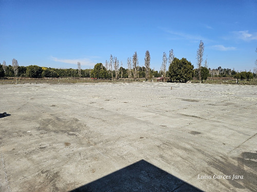 Bodega Con Oficinas Y Patio Pavimentado En Cabrero