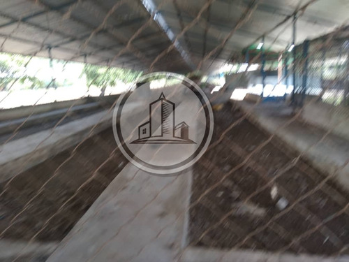 Granja Avicola En Venta 1.341mts2 + 3ha En San Francisco De Asis. 002jsc
