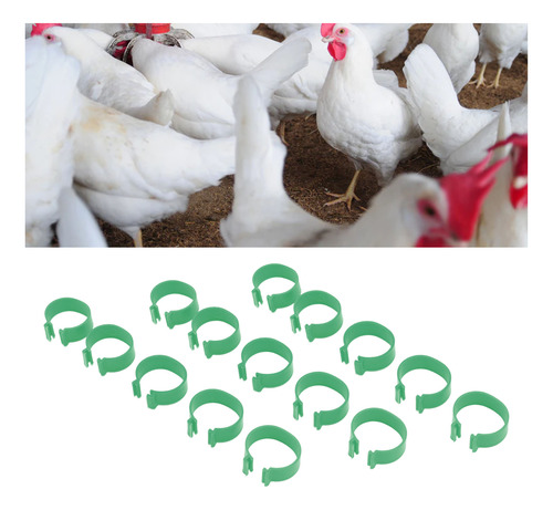 100 Unidades De Patas De Gallina Para Aves De Corral, Tipo A