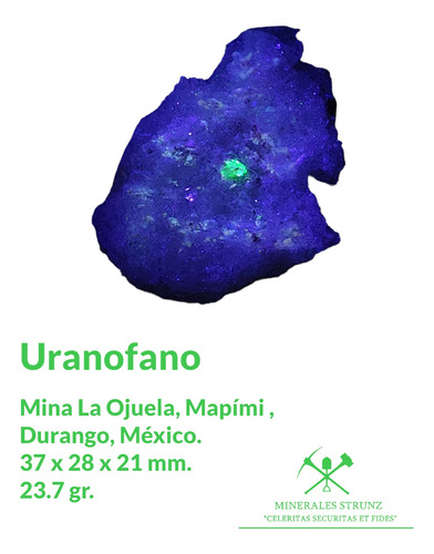 Mineral Radioactivo Mineral Uranio Uv Uranofano Selenita #3