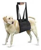 Comprar Arnes De Rehabilitacion Perros Ortopedia Canina Soporte M