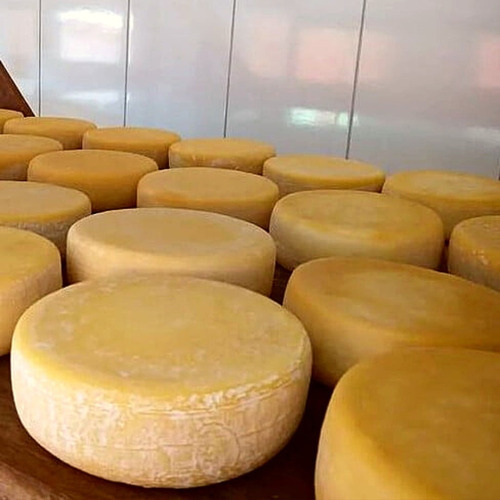 Queijo Minas Canastra Meia Cura 1,1 Kg - Artesanal