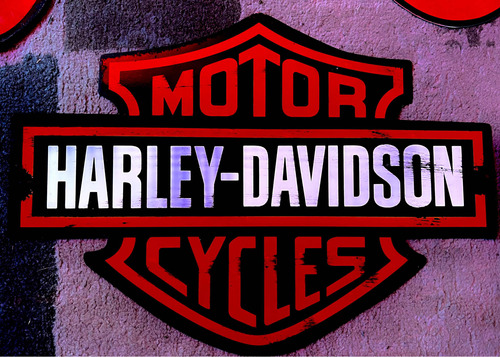 Chapa Logo Harley Davinson