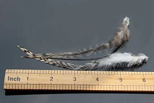 Plumas De Gallo Grizzly Para Moscas.