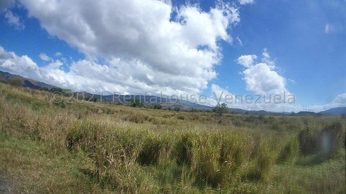 Imagen 23 de 30 de &&& Finca En Venta En Nirgua Yaracuy Rah 23-17575 // Invierta Seguro Con Rentahouse//