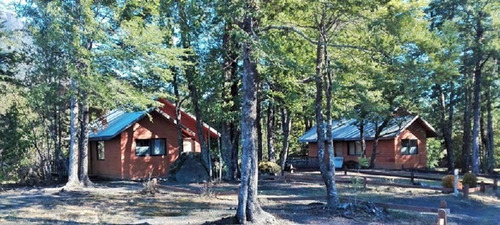 Arriendo Año Corrido Entre Hermosos Arboles